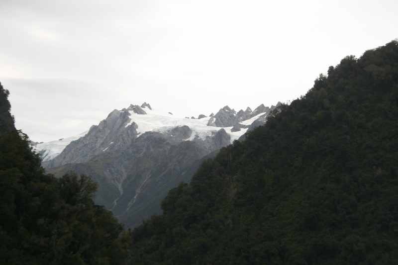 Nieuw-Zeeland 2011 - 1411